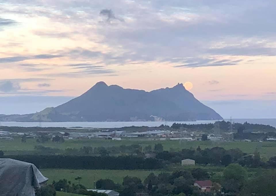 Moko Hiwi Escape - Kotare Suite Ruakaka Esterno foto