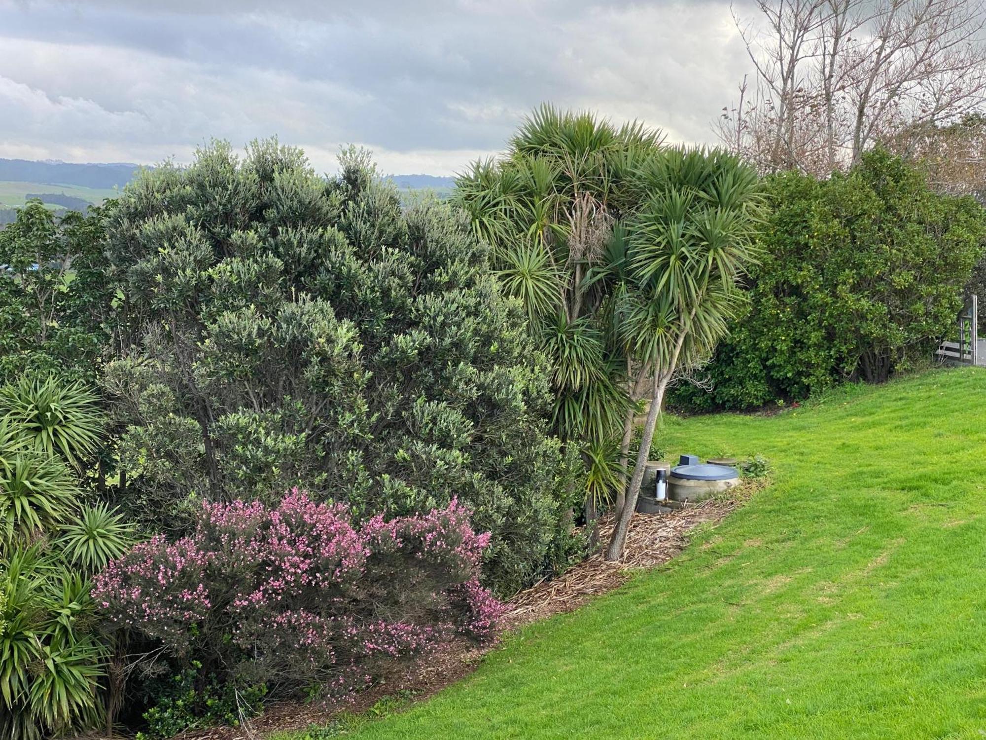 Moko Hiwi Escape - Kotare Suite Ruakaka Esterno foto